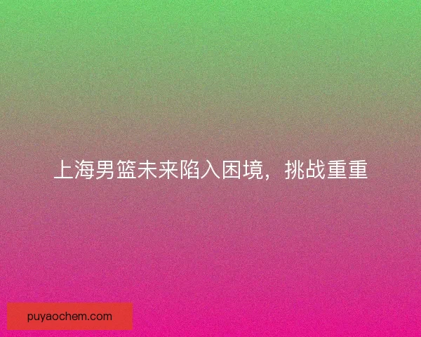 上海男篮未来陷入困境，挑战重重